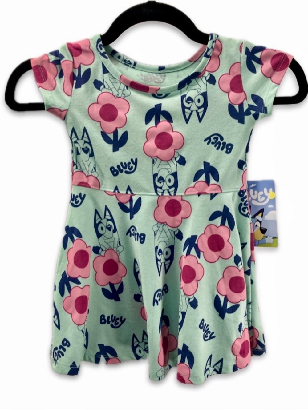Bluey Floral Knit Dress - Pink & Mint NWT 2T